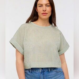Madewell Striped Dolman Cropped NWT Size 
X-LARGE Pistachio Color